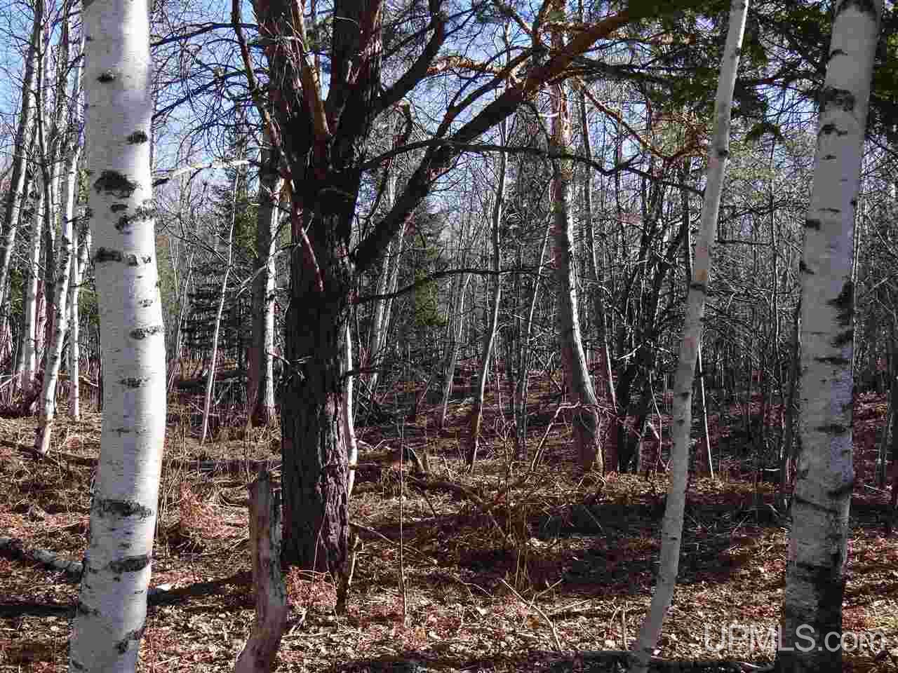 Tbd Tamarack Waterworks Road Calumet, MI 49913 - Photo 4 of 14