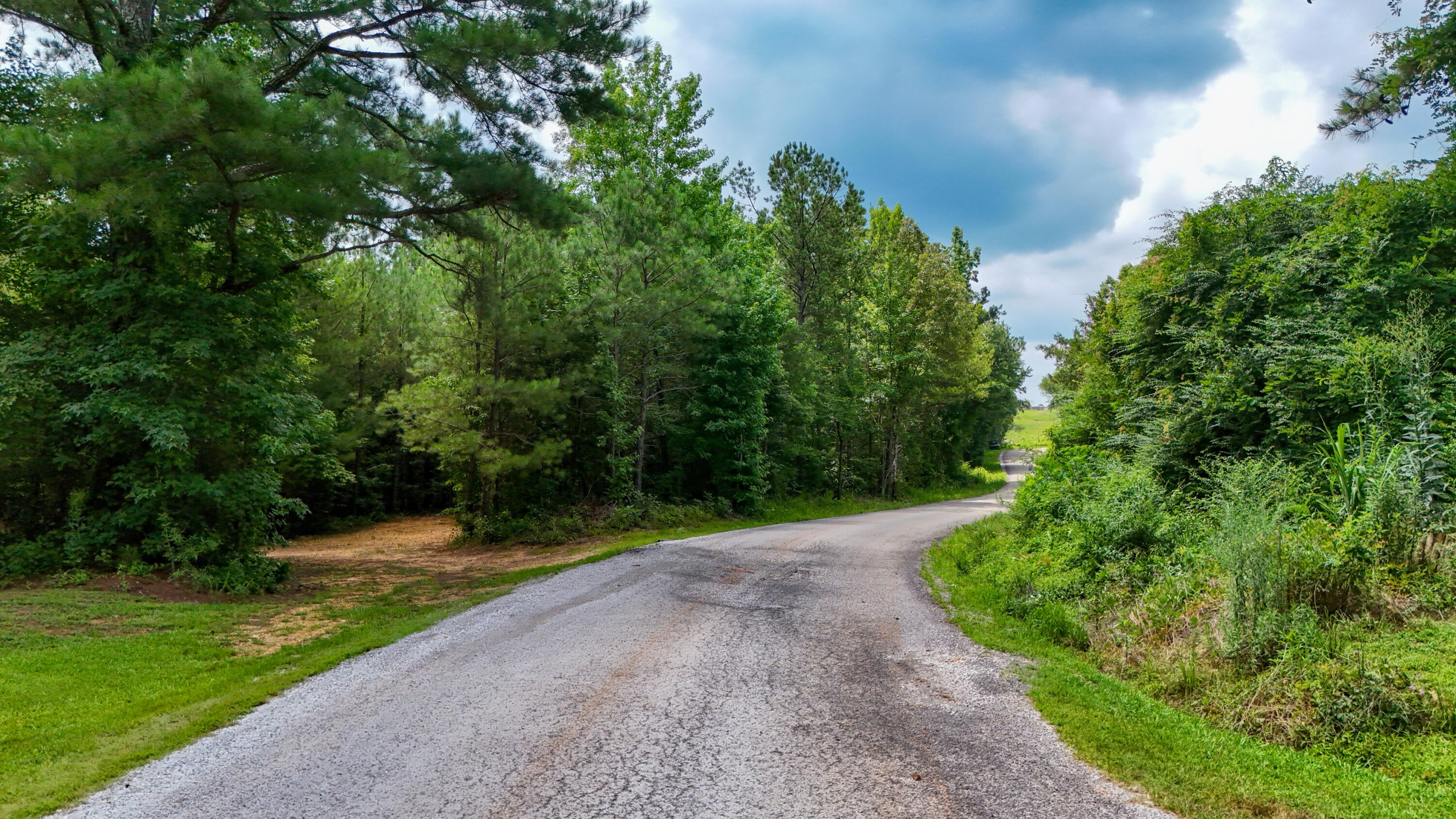 Lot 1 Martin Road Fulton, MS 38843 - Photo 15 of 25 Gallery Image 15