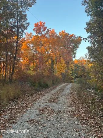 $675,000 | 27.42-ac Black Mountain Road, Tellico Plains, TN 37385