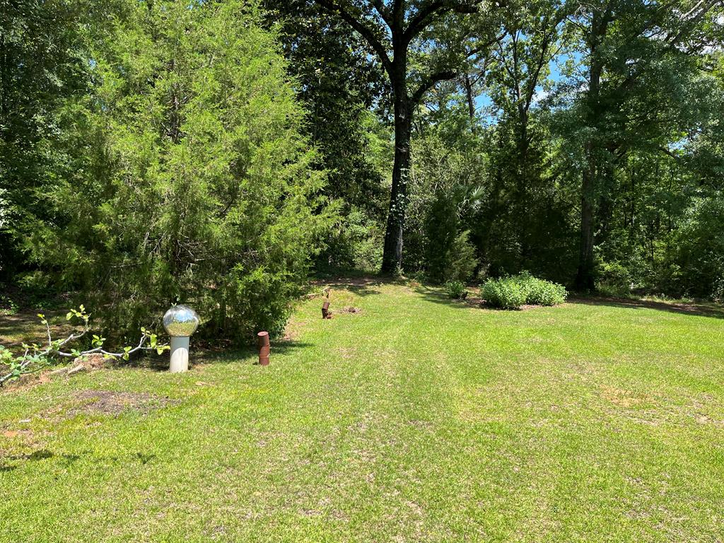 115 Carter Ridge Road Abbeville, AL 36310 - Photo 23 of 25