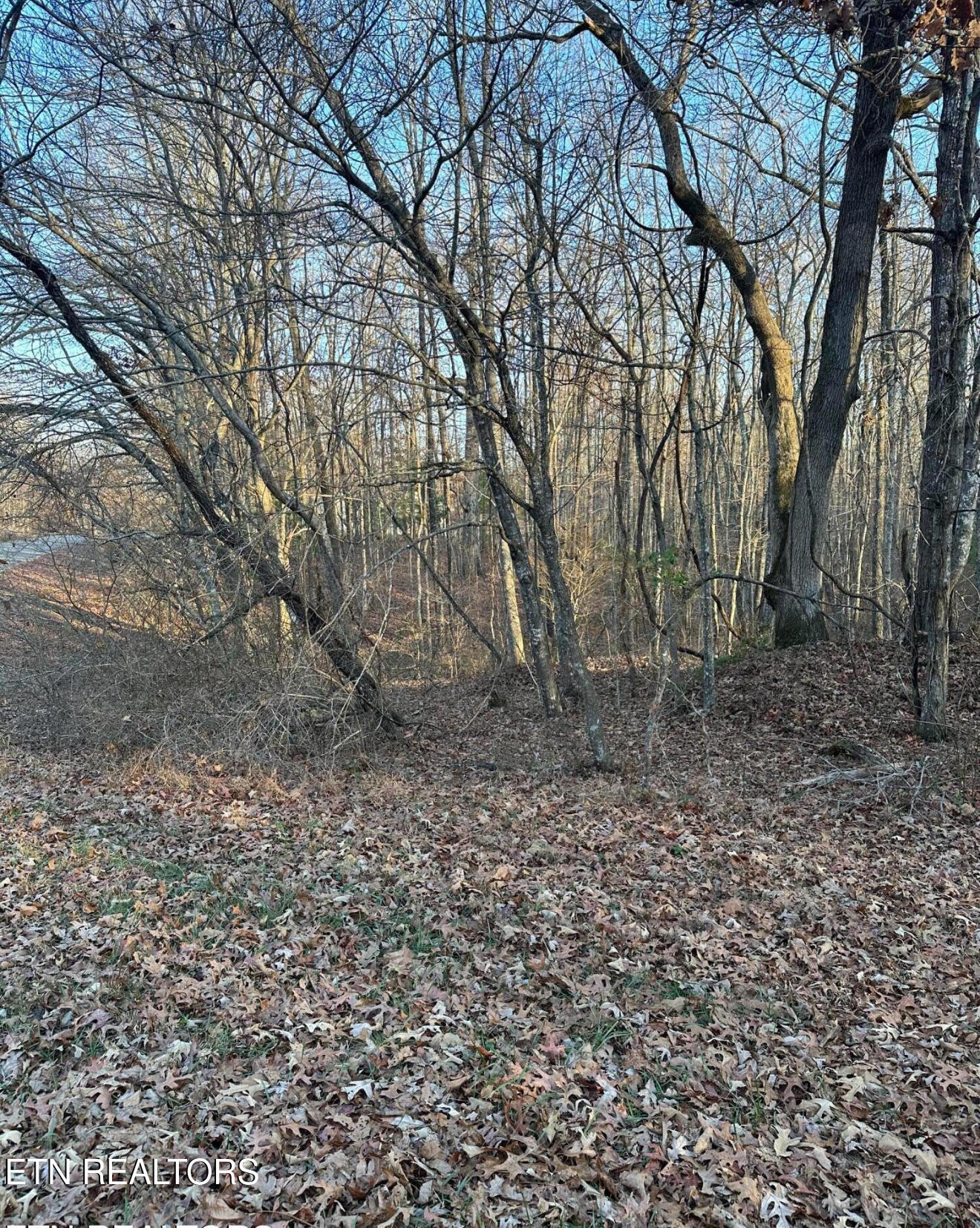 125 Devon Road Crossville, TN 38558 - Photo 1 of 2 Gallery Image 1