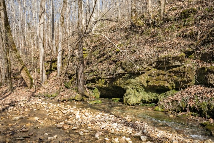 6722 Morgan Creek Road Centerville, TN 37033 - Photo 52 of 70 Gallery Image 52