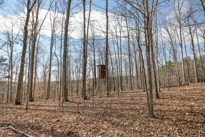 6722 Morgan Creek Road Centerville, TN 37033 - Photo 56 of 70 Gallery Image 56