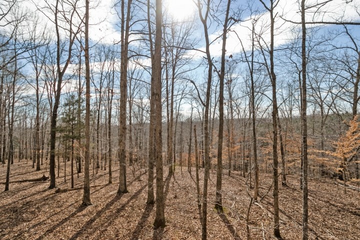 6722 Morgan Creek Road Centerville, TN 37033 - Photo 57 of 70 Gallery Image 57
