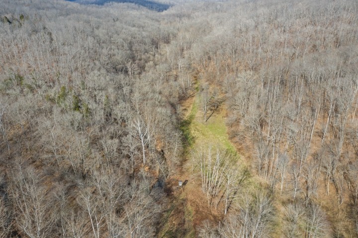 6722 Morgan Creek Road Centerville, TN 37033 - Photo 61 of 70 Gallery Image 61