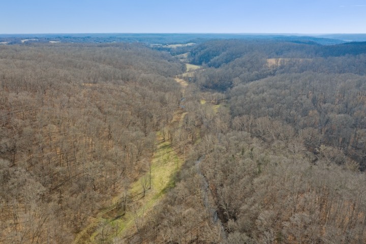 6722 Morgan Creek Road Centerville, TN 37033 - Photo 62 of 70 Gallery Image 62
