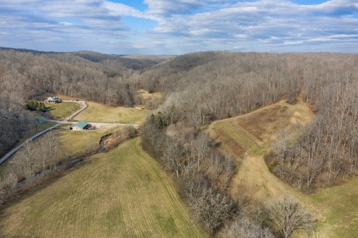 6722 Morgan Creek Road Centerville, TN 37033 - Photo 67 of 70 Gallery Image 67