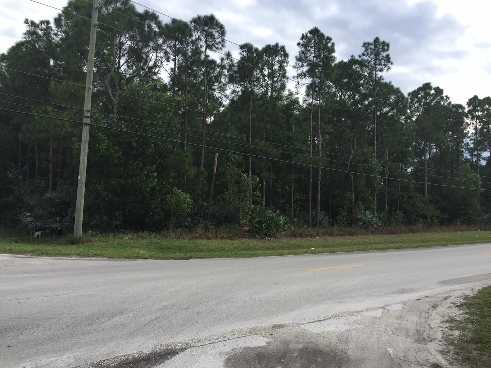0 North 88th Road Loxahatchee, FL 33470 - Photo 2 of 2 IMG_2968.JPG