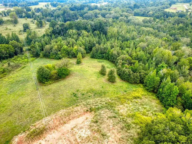 $133,000 | Lot 32 Creek Bottom, Winona, TX 75792
