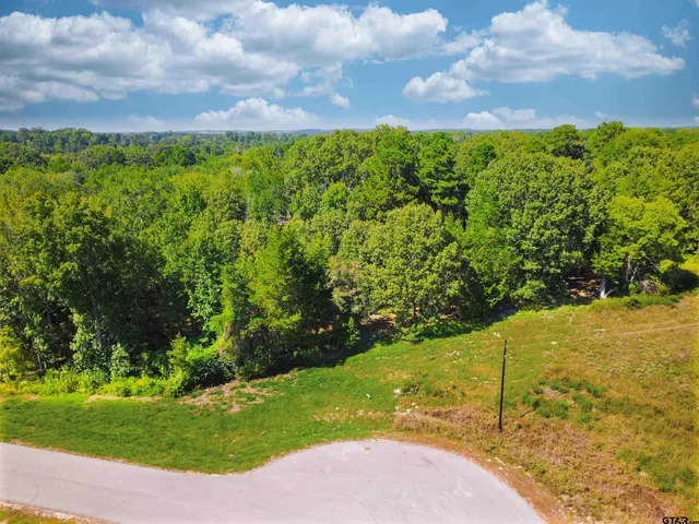 $133,000 | Lot 32 Creek Bottom, Winona, TX 75792