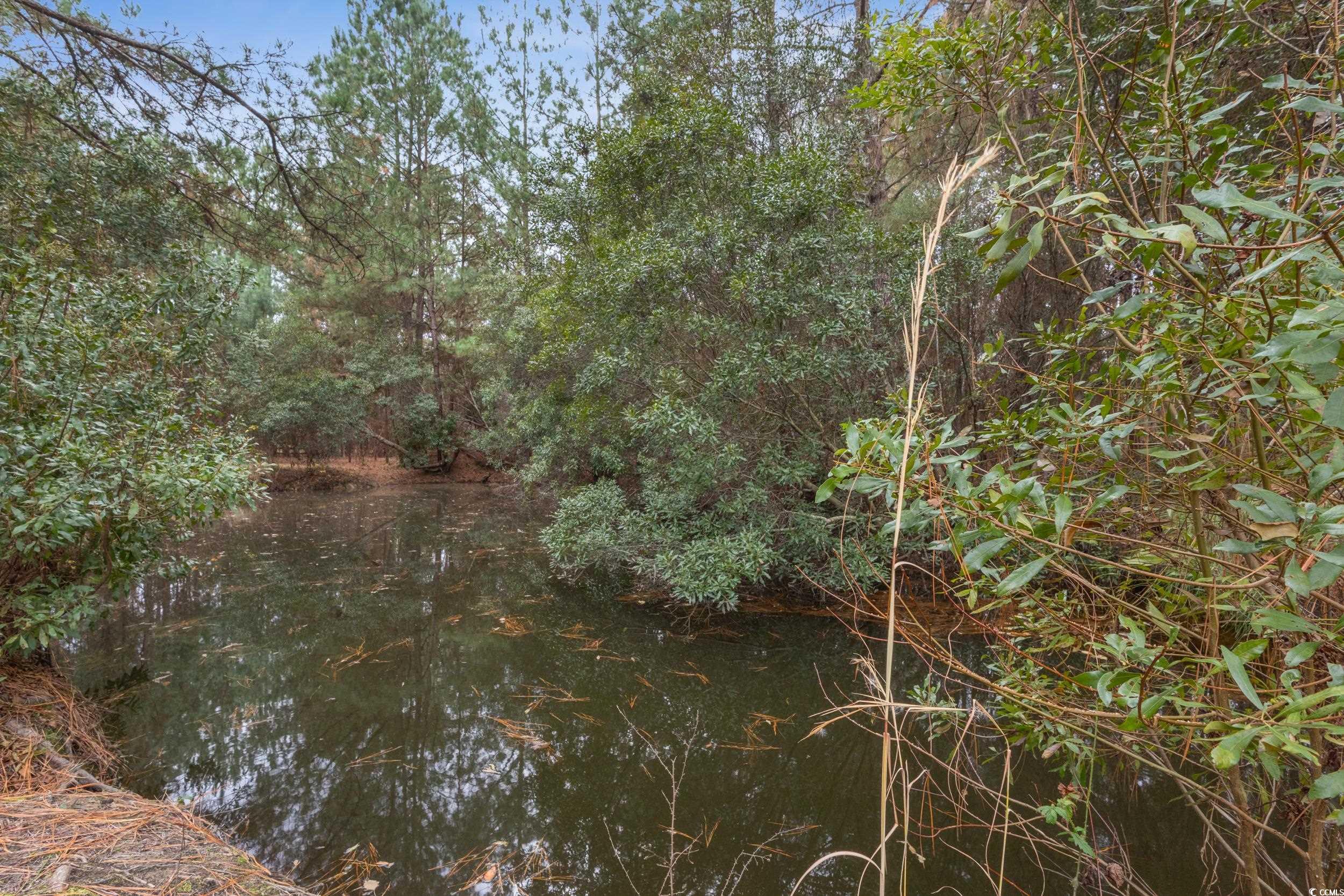 33332 County Line Road Hemingway, SC 29554 - Photo 38 of 40
