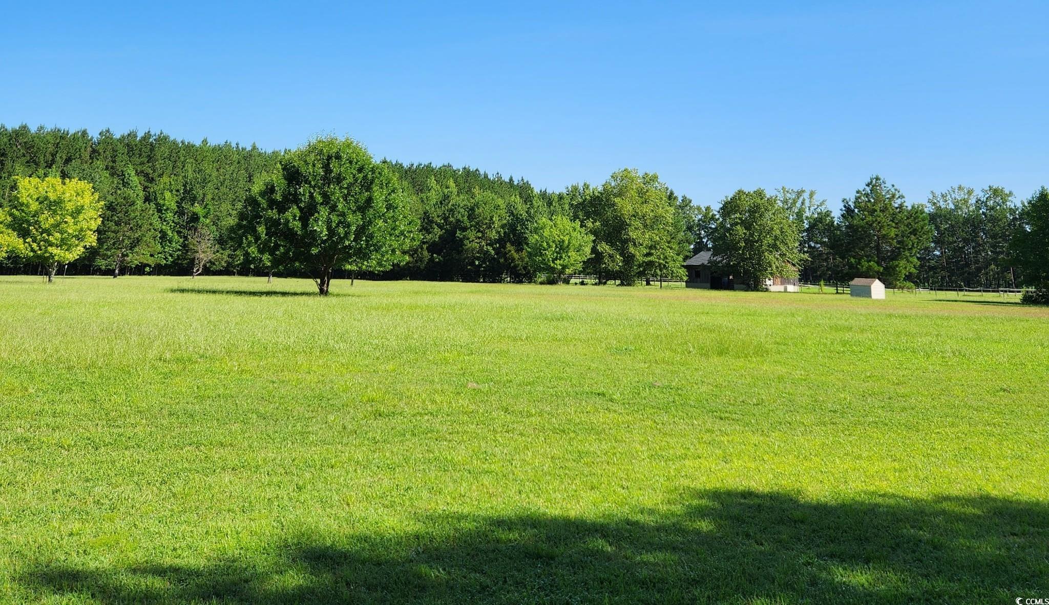 33332 County Line Road Hemingway, SC 29554 - Photo 5 of 40