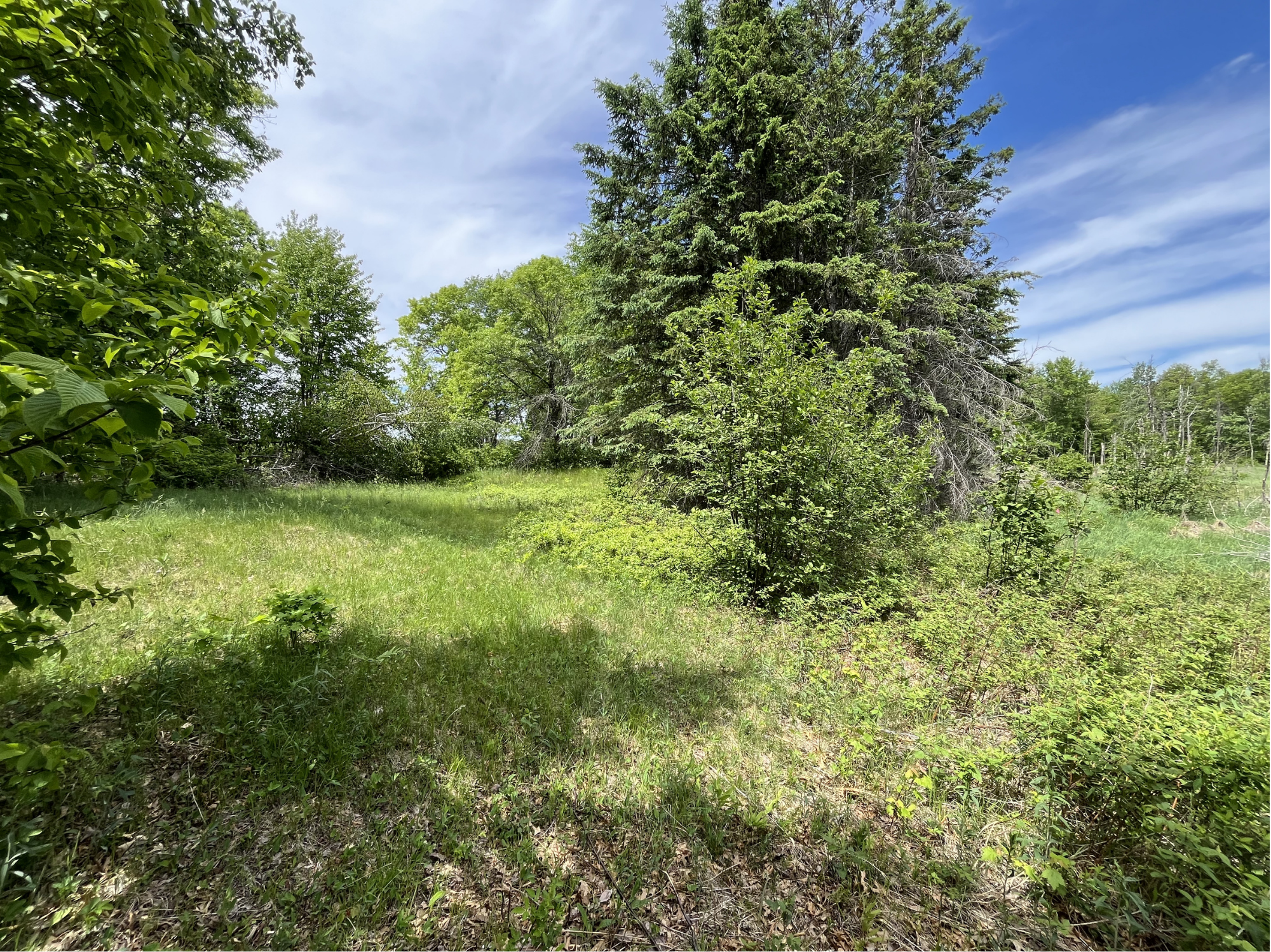 13384 Sorenson Lake Road Merrifield, MN 56465 - Photo 30 of 45