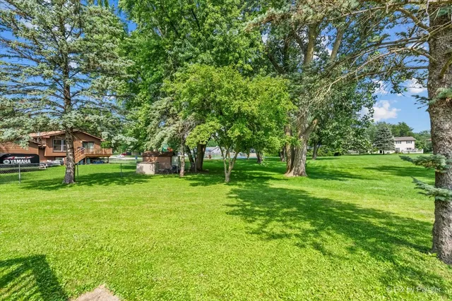 a huge green field with lots of trees