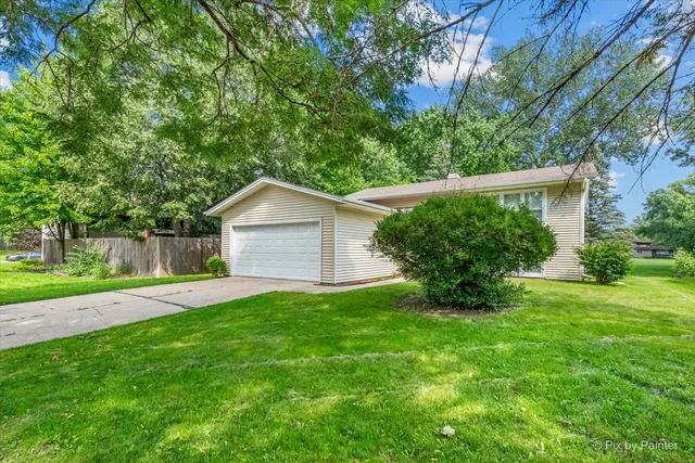 a backyard of a house with plants and large tree