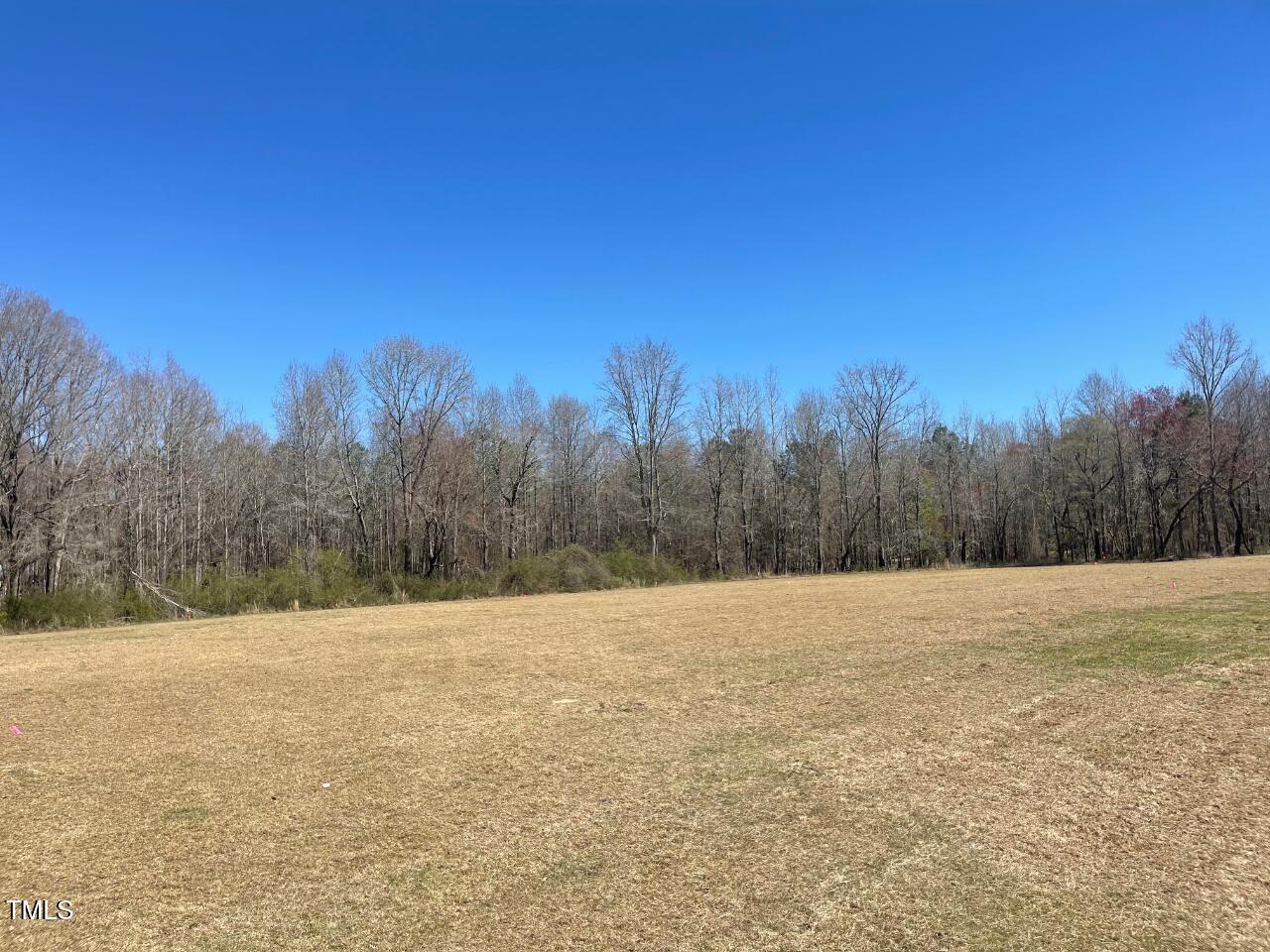 Lot 4 Sheriff Johnson Road Coats, NC 27521 - Photo 2 of 13 a view of empty field with trees in the background