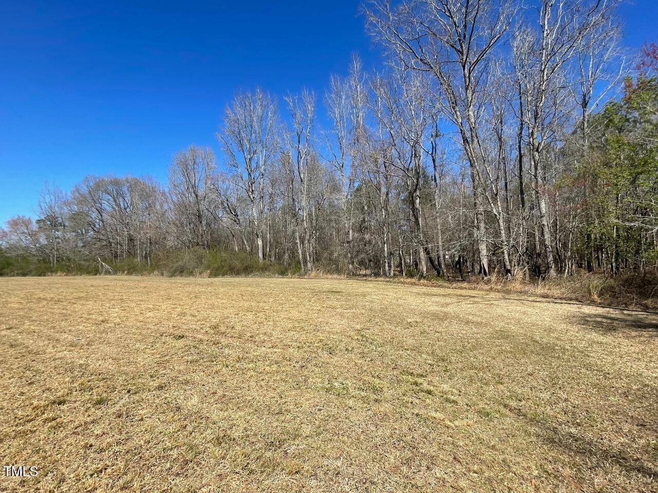 Lot 4 Sheriff Johnson Road Coats, NC 27521 - Photo 3 of 13 a view of yard with large trees