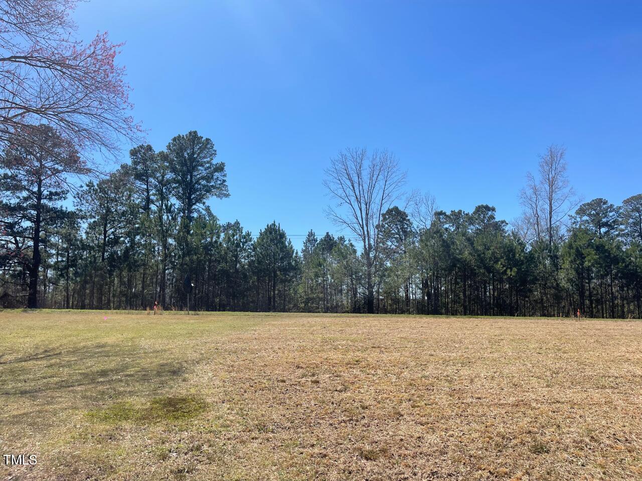 Lot 4 Sheriff Johnson Road Coats, NC 27521 - Photo 4 of 13 a view of basketball court