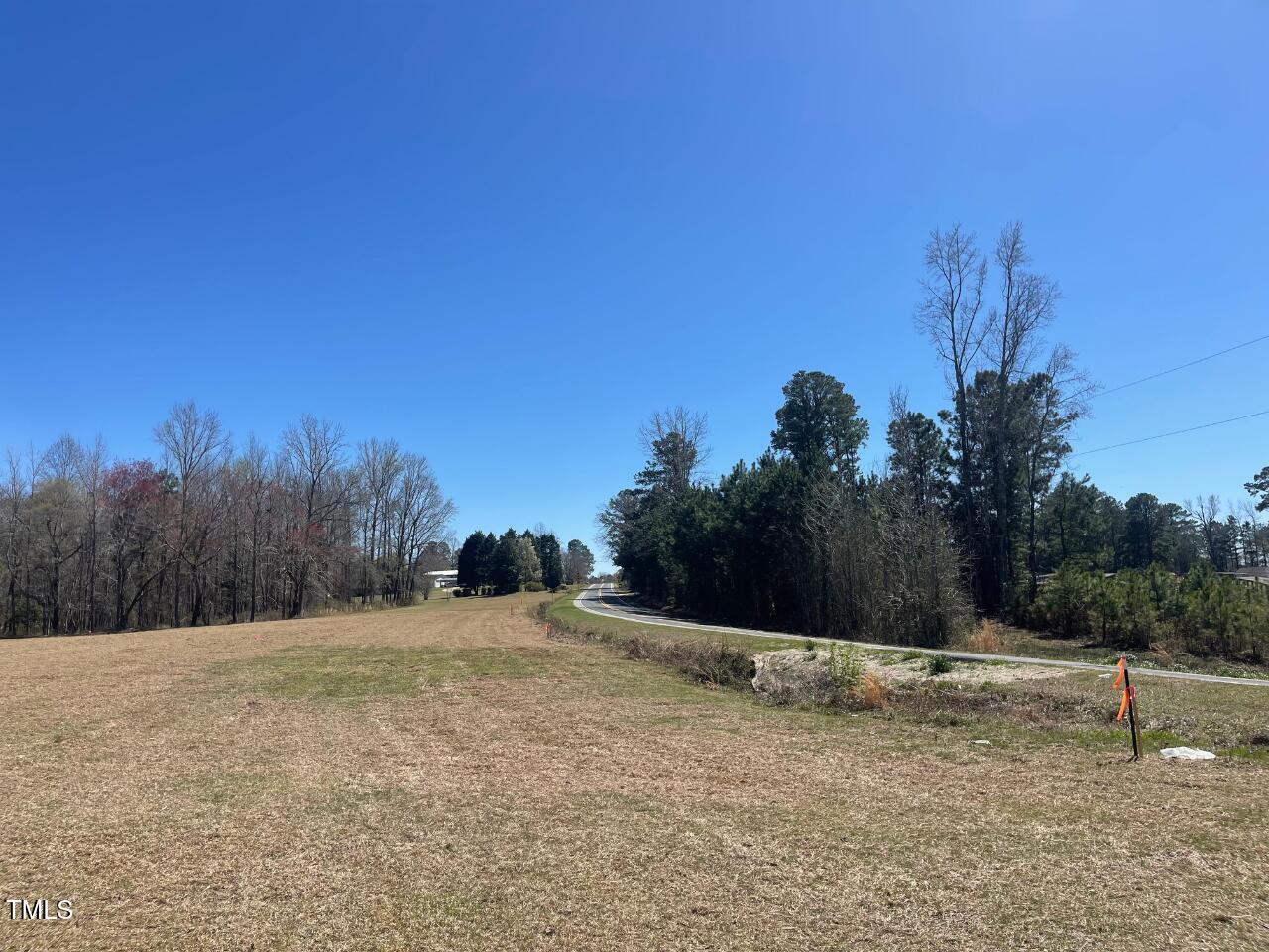 Lot 4 Sheriff Johnson Road Coats, NC 27521 - Photo 5 of 13 a view of backyard with trees