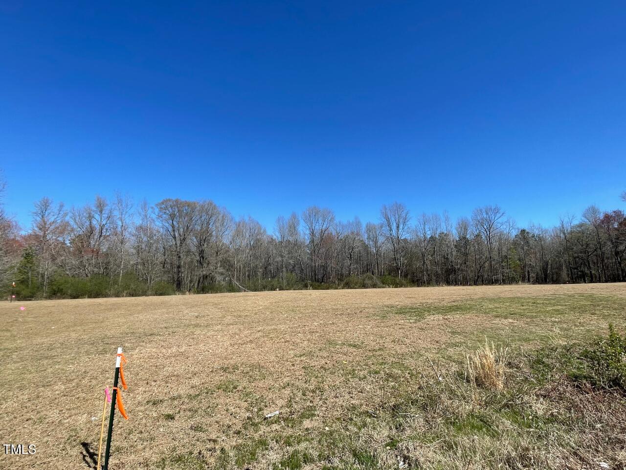 Lot 4 Sheriff Johnson Road Coats, NC 27521 - Photo 8 of 13 a view of a field with trees in the background