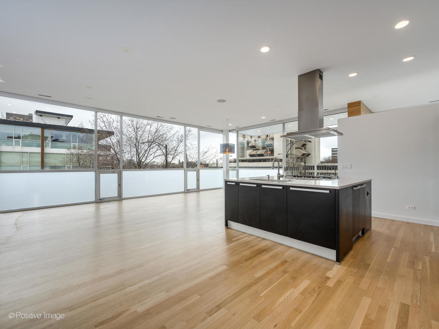 2154 West Division Street, Unit 301 Chicago, IL 60622 - Photo 4 of 22