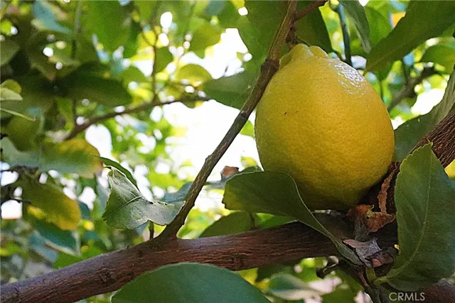 a view of a patio with table and chairs with wooden fence and plants