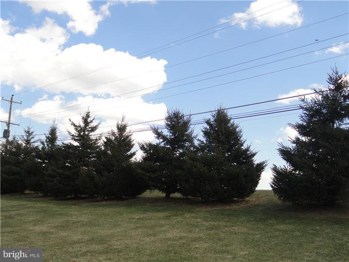 400 Milford Road Downingtown, PA 19335 - Photo 4 of 25 View from Front Door