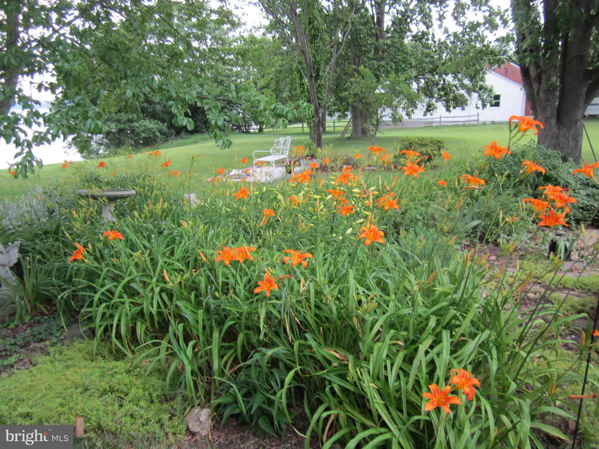 45188 St Cuthbert Farm Road Hollywood, MD 20636 - Photo 8 of 26 Perennial Garden