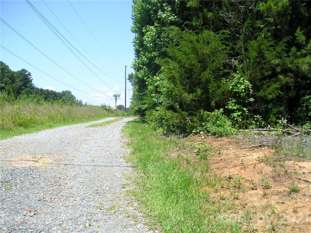 3904 Richardson Road Monroe, NC 28112 - Photo 6 of 12 a view of a yard with plants and large trees