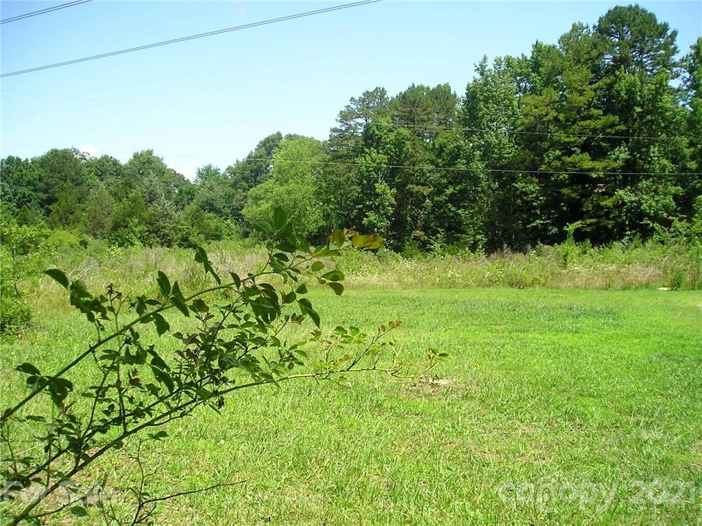 3904 Richardson Road Monroe, NC 28112 - Photo 10 of 12 a view of a yard with plants and a large tree