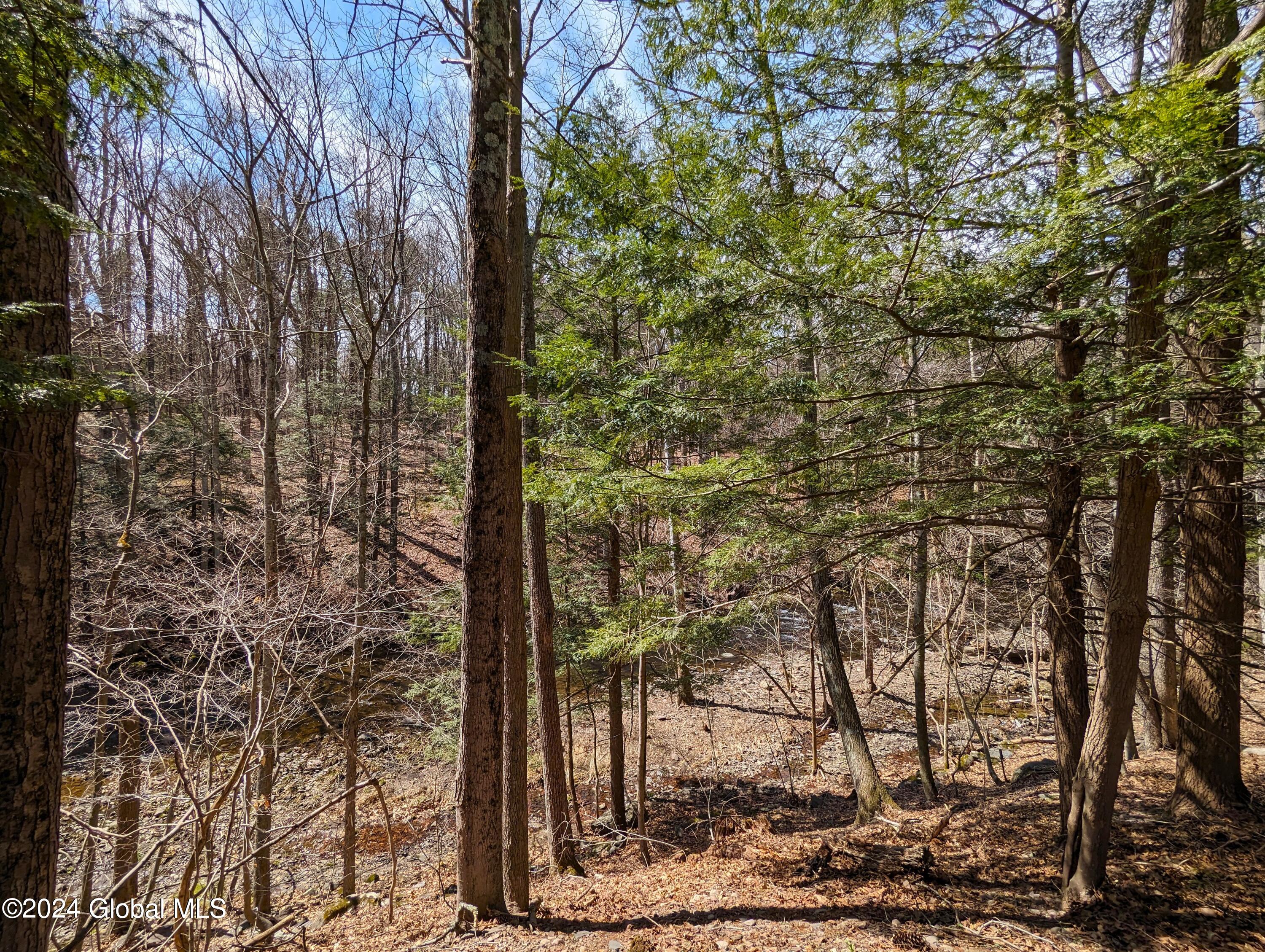 31 Lake Mills Road Cairo, NY 12431 - Photo 11 of 18 Upper Portion of Site