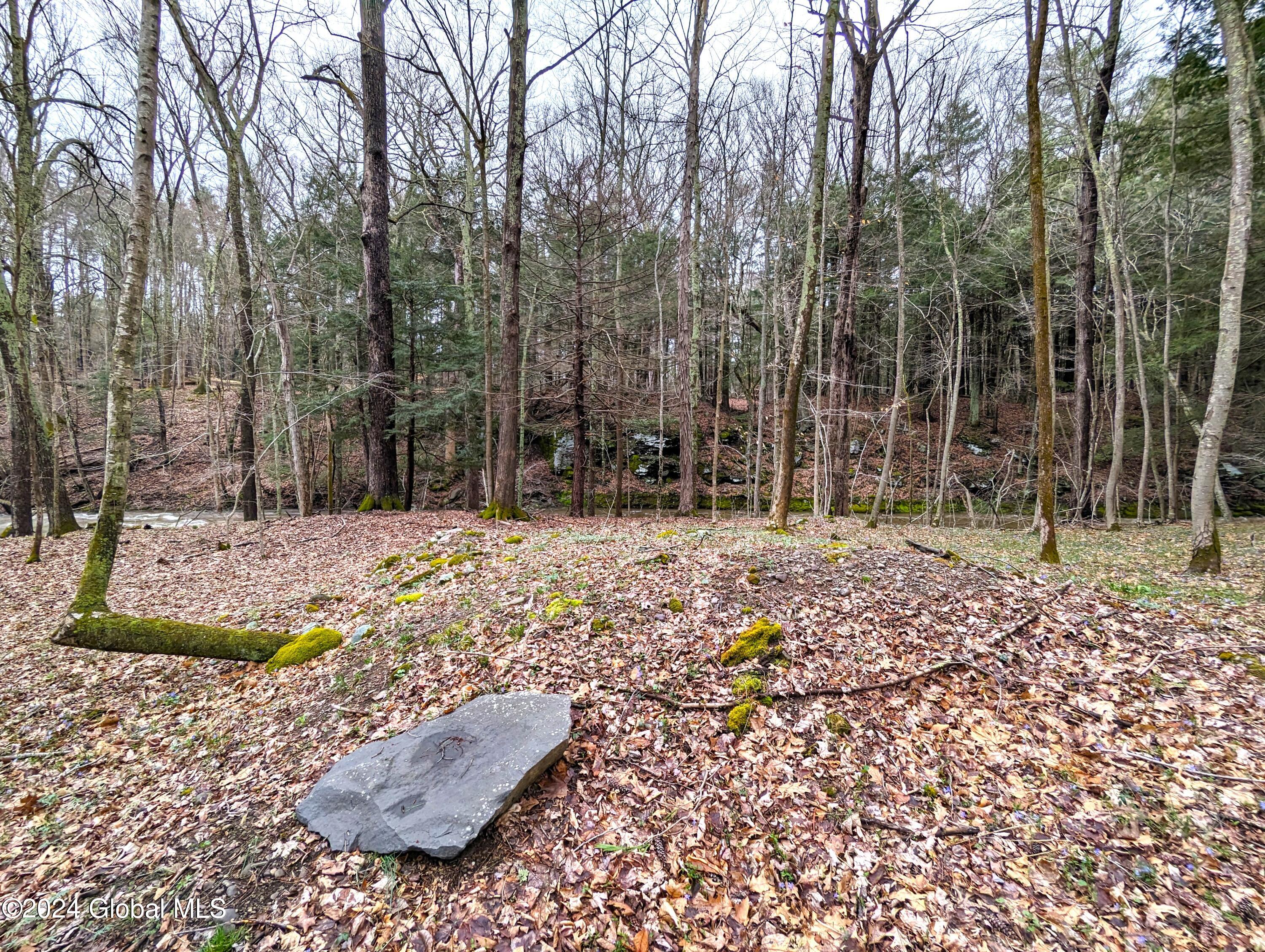 31 Lake Mills Road Cairo, NY 12431 - Photo 5 of 18 Woods
