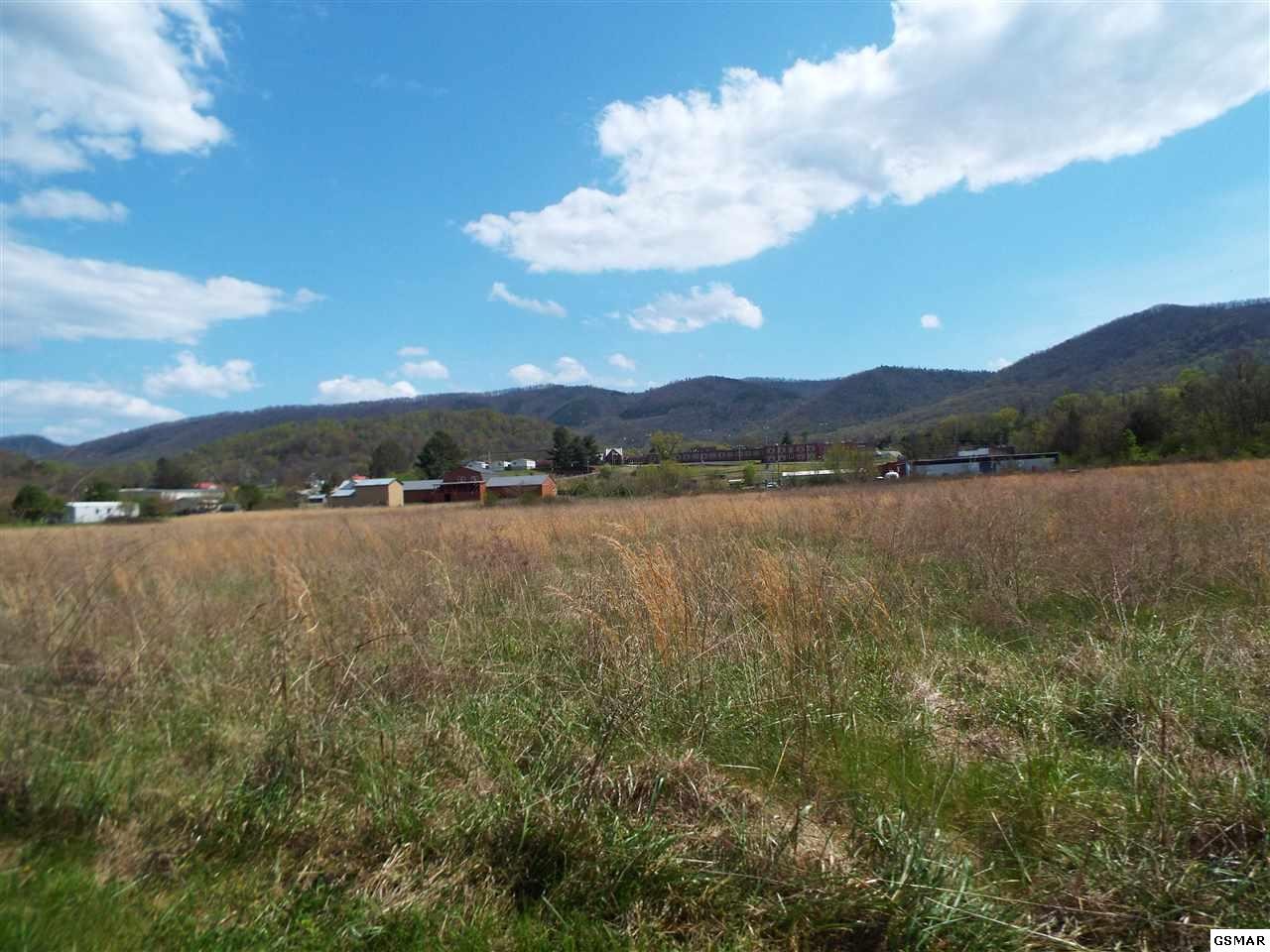 8 Padgett Mill Road Cosby, TN 37722 - Photo 4 of 14 Gallery Image 4