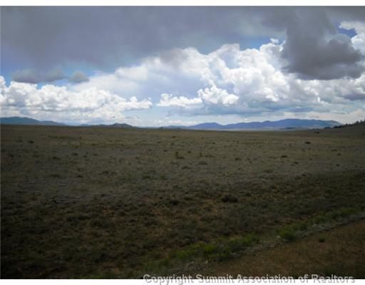 1124 Rio Blanco Road Hartsel, CO 80449 - Photo 3 of 4 a view of a dry yard with lots of trees