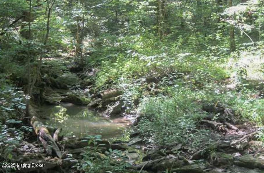 12 Vigo Road Bagdad, KY 40003 - Photo 2 of 25 Vigo Rd3 creek