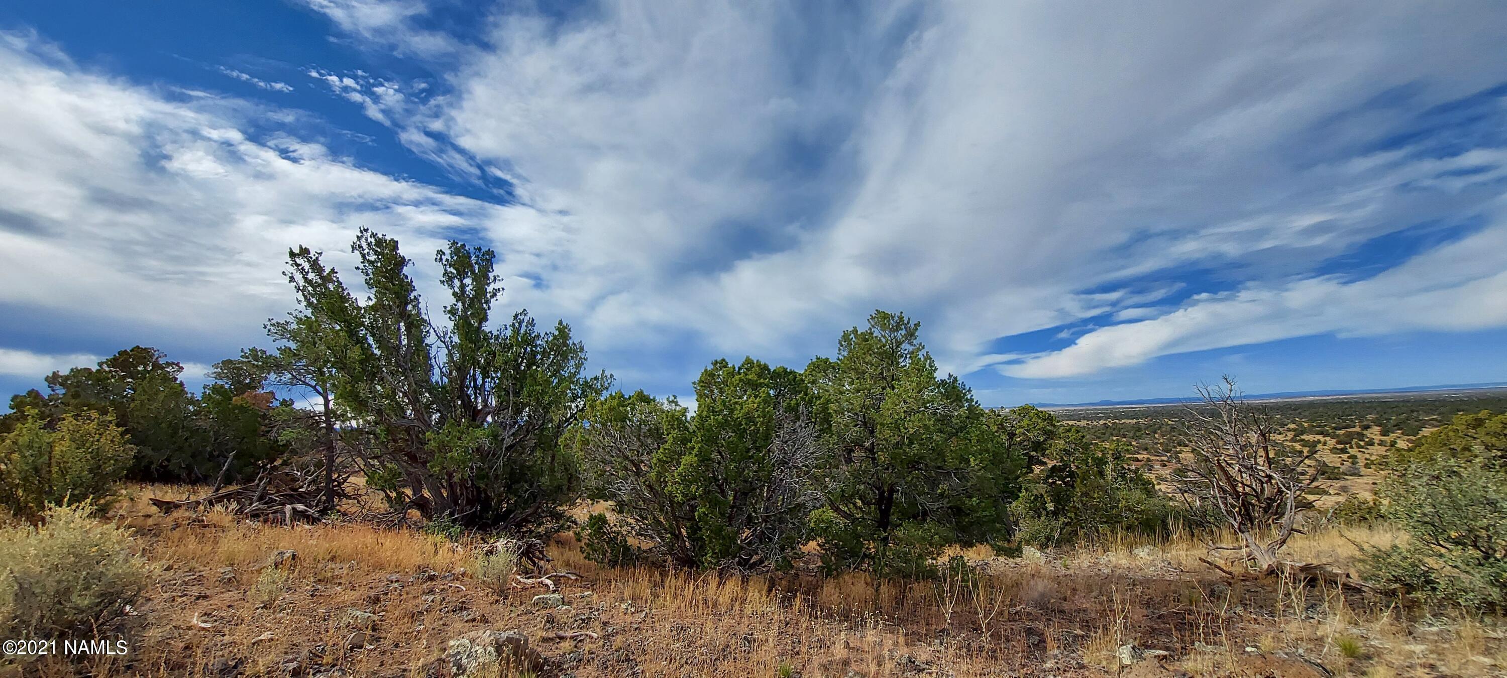 6707 North S Rim Ranch Road, Unit 255 Williams, AZ 86046 - Photo 24 of 63 20211102_100928