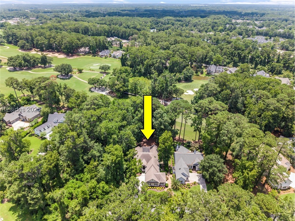 1 Manchester Court Bluffton, SC 29910 - Photo 45 of 51