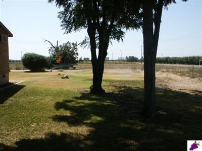 8358 South Alta Avenue Reedley, CA 93654 - Photo 12 of 15 SIDE YARD