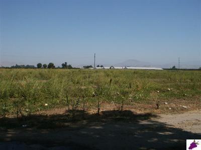 8358 South Alta Avenue Reedley, CA 93654 - Photo 13 of 15 ACREAGE