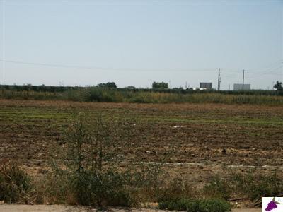 8358 South Alta Avenue Reedley, CA 93654 - Photo 14 of 15 ACREAGE