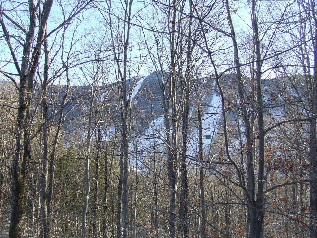 19 Big Coolidge Road, Unit 5 Lincoln, NH 03251 - Photo 15 of 18 Gallery Image 15