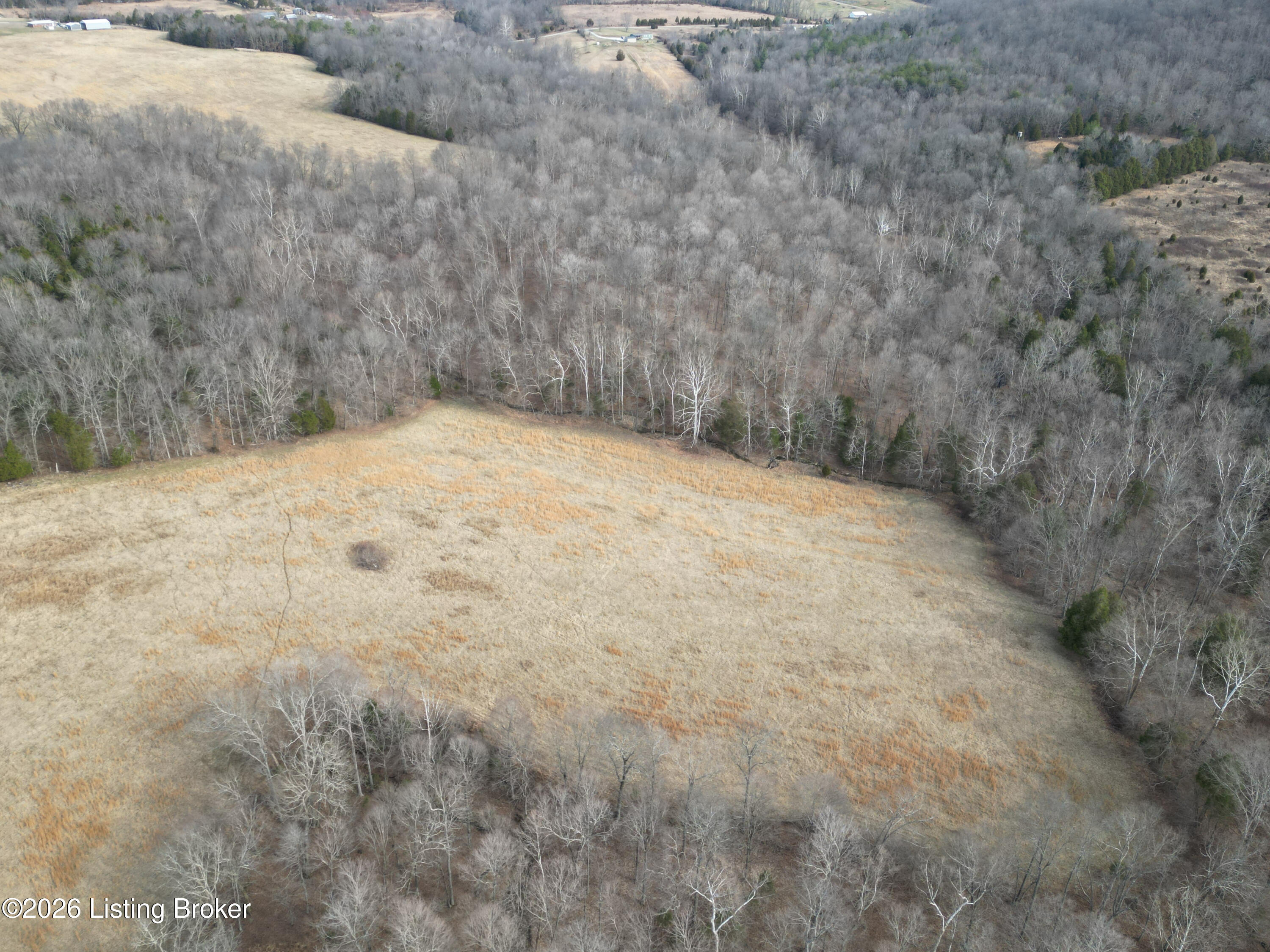 0 Green Decker Road Caneyville, KY 42721 - Photo 3 of 6 dji_fly_20260220_214637_0_1771690247537_