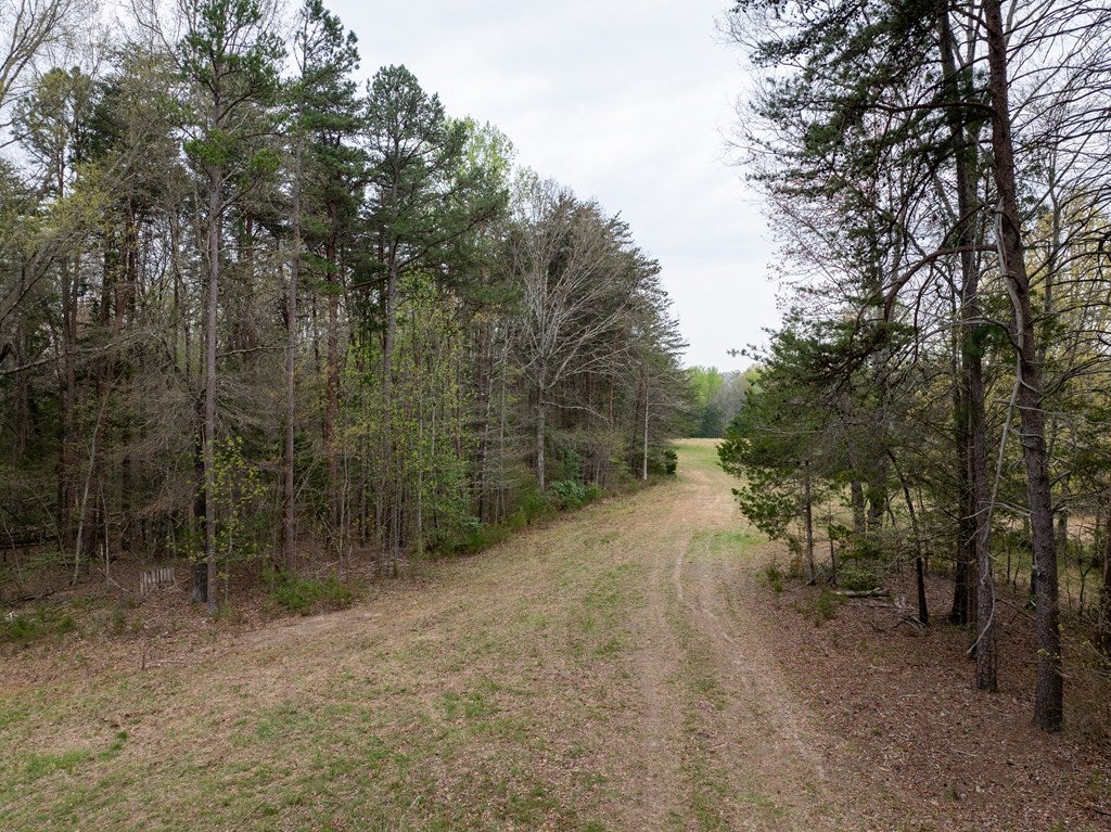 School Road Farmville, VA 23901 - Photo 27 of 38 Gallery Image 27