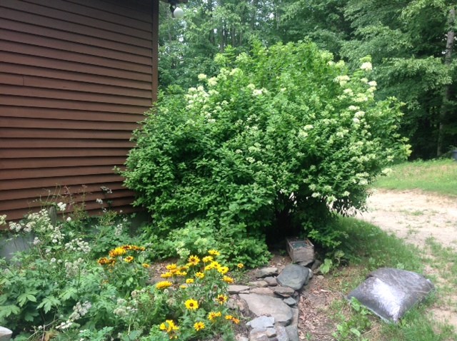 97 Old County Road Westmoreland, NH 03467 - Photo 26 of 29