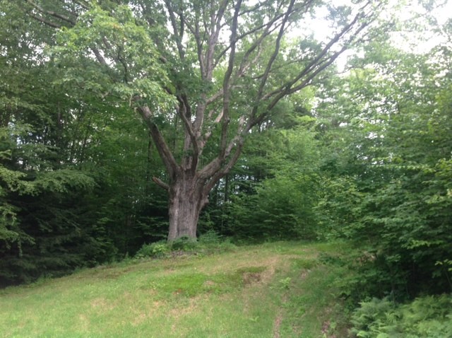 97 Old County Road Westmoreland, NH 03467 - Photo 29 of 29