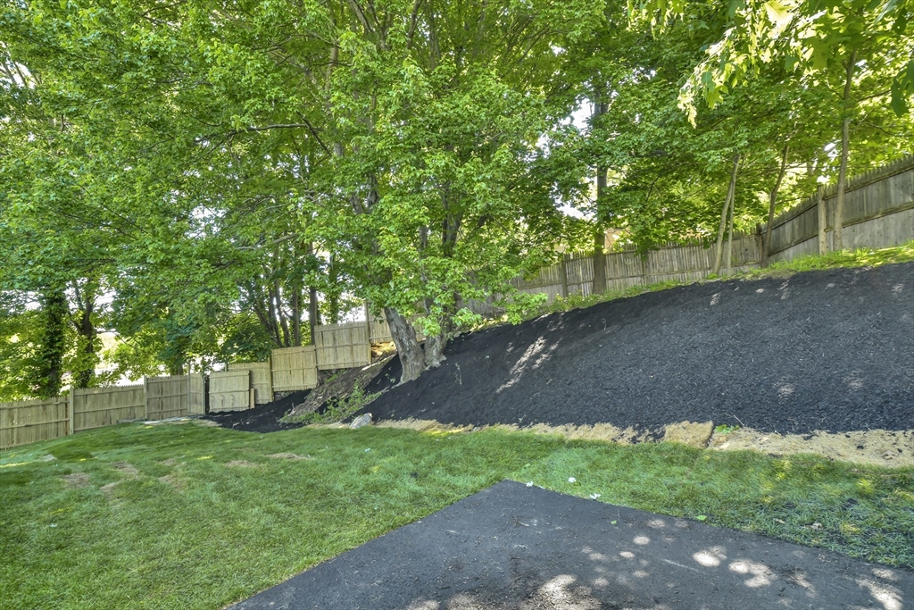 36 Dietz Road Boston, MA 02136 - Photo 27 of 31 a view of tree in a yard