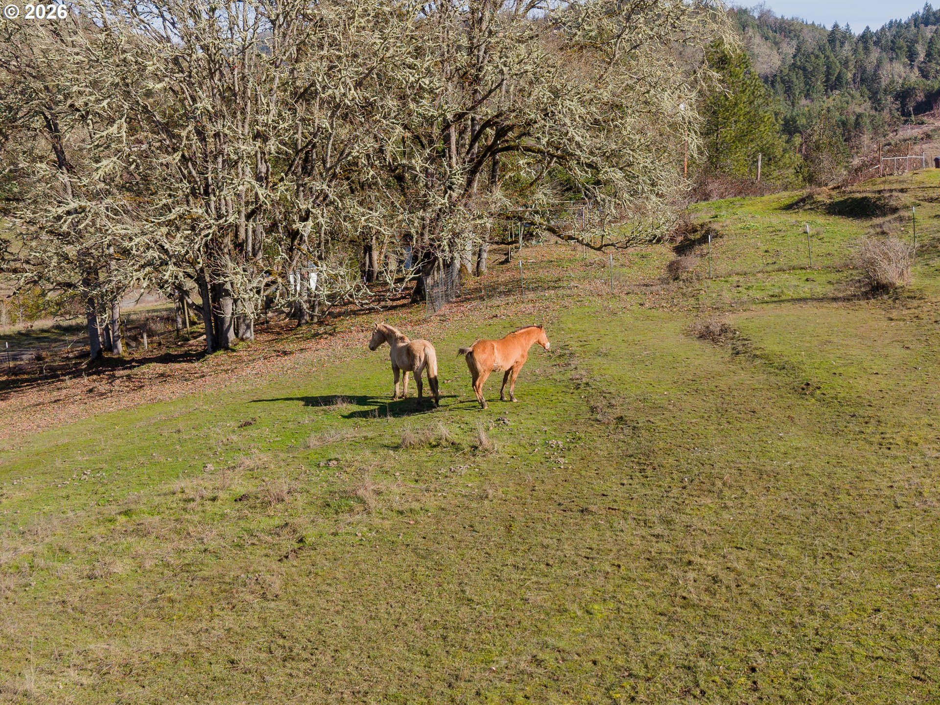 481 Strader Road Roseburg, OR 97470 - Photo 33 of 48