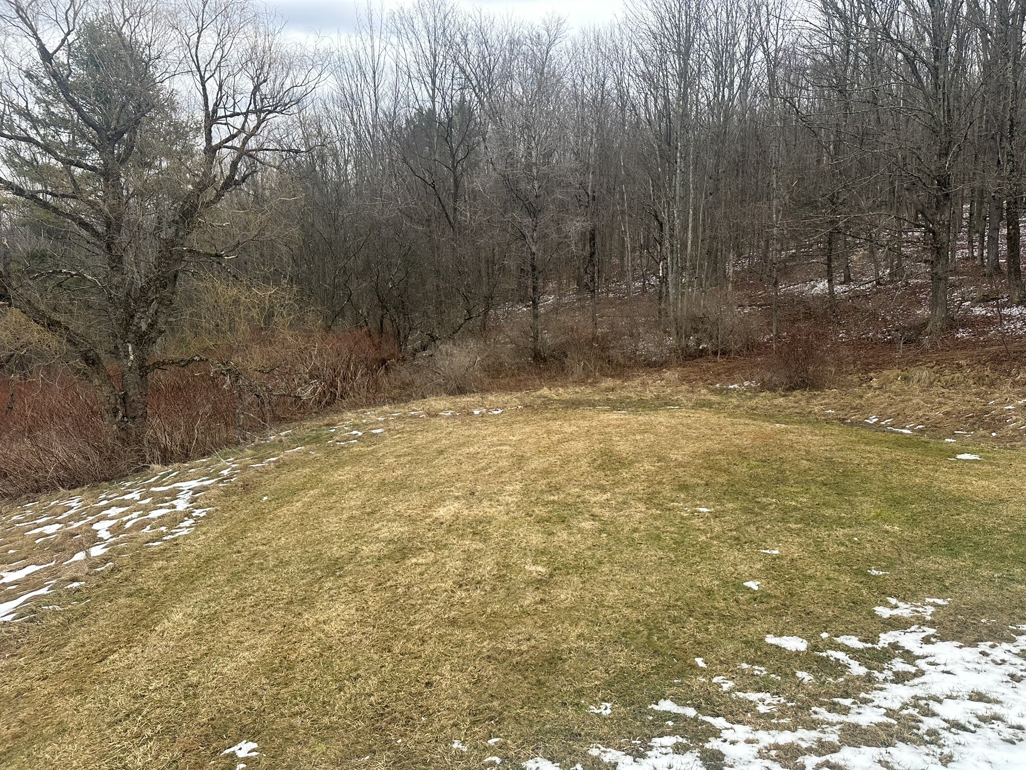 33 Barnes Road Windsor, NY 13865 - Photo 12 of 18