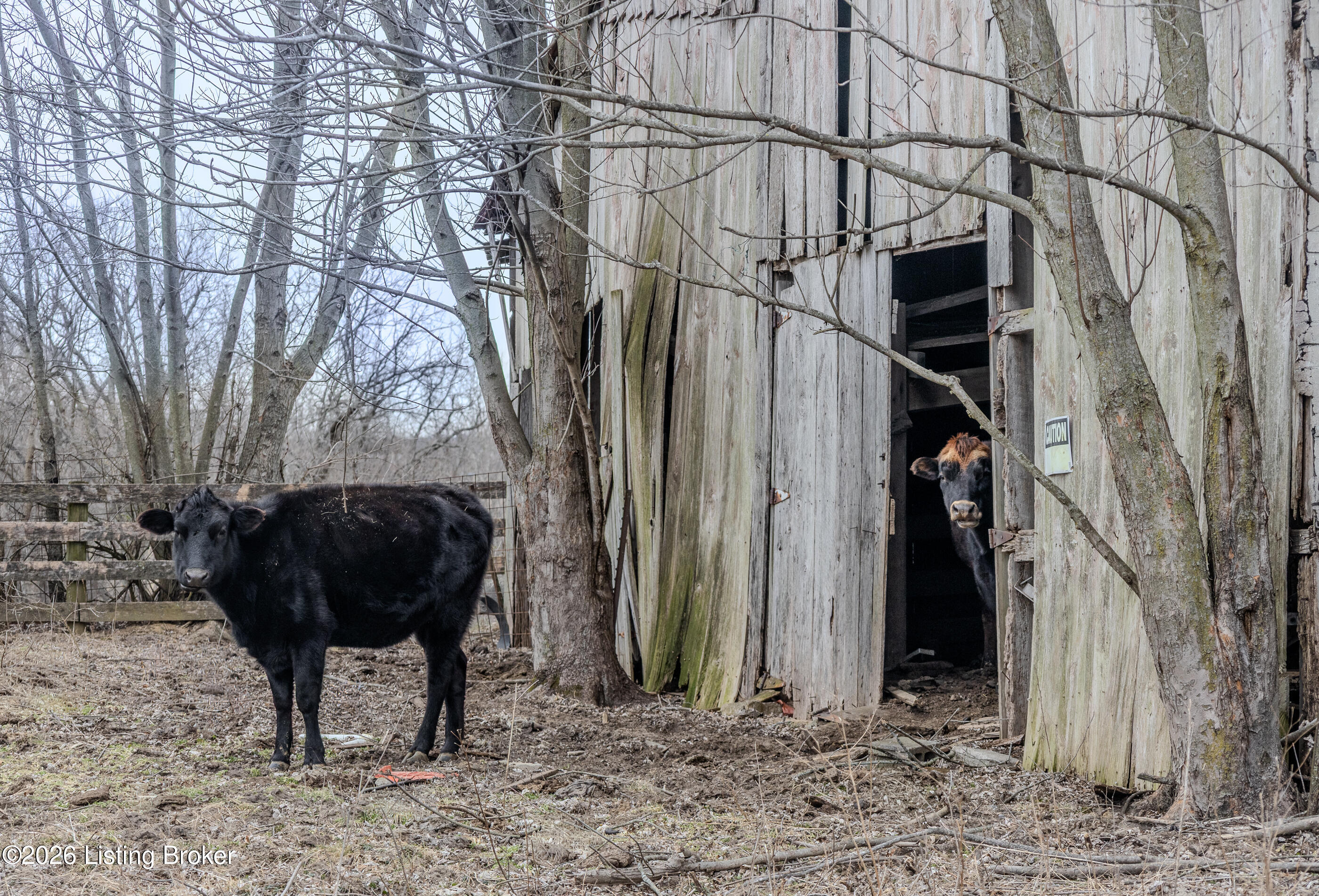 2942 Pendleton Road Pendleton, KY 40055 - Photo 89 of 101 Pendleton-52
