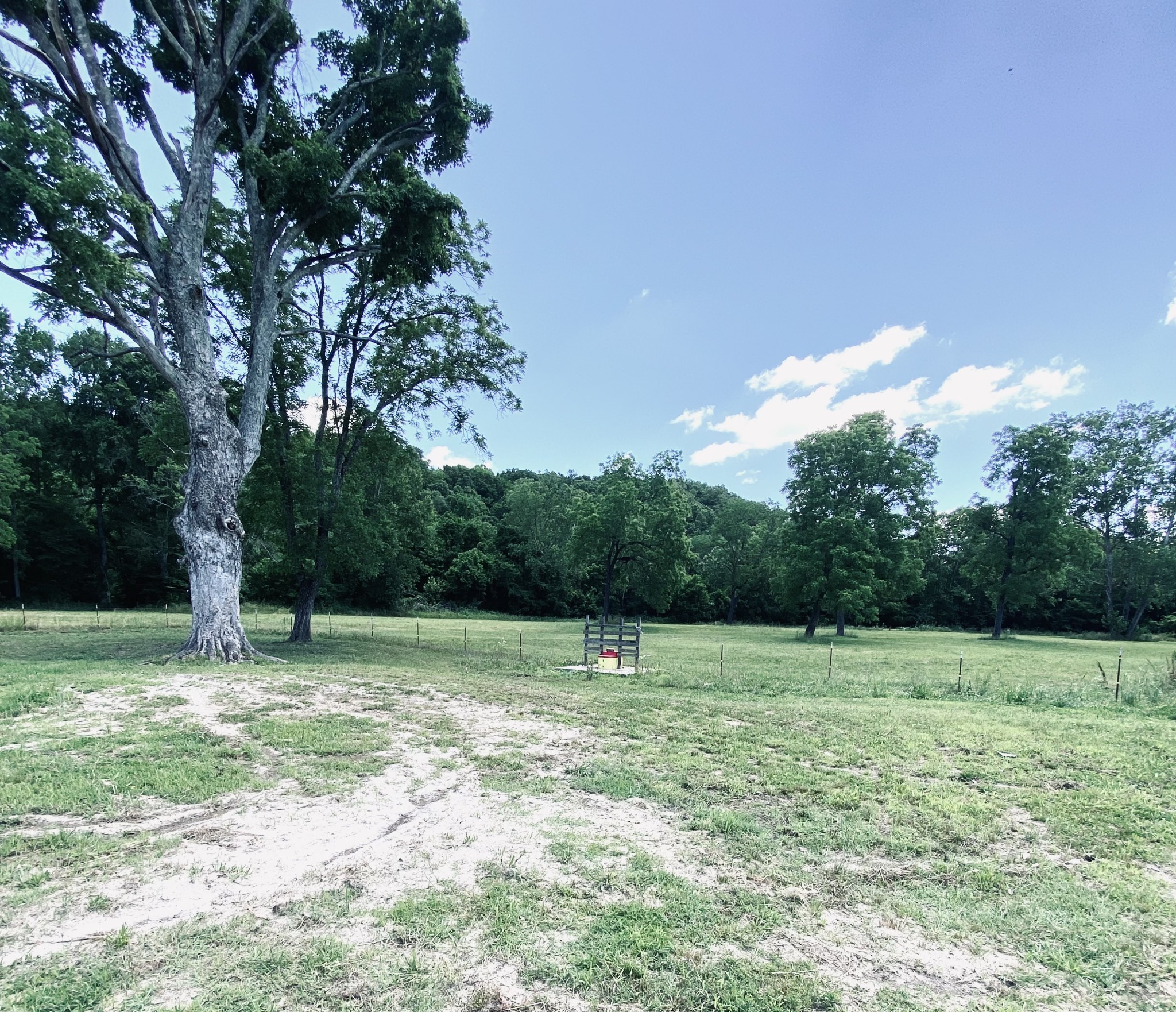5777 Tom Brown Road McEwen, TN 37101 - Photo 48 of 58 Gallery Image 48